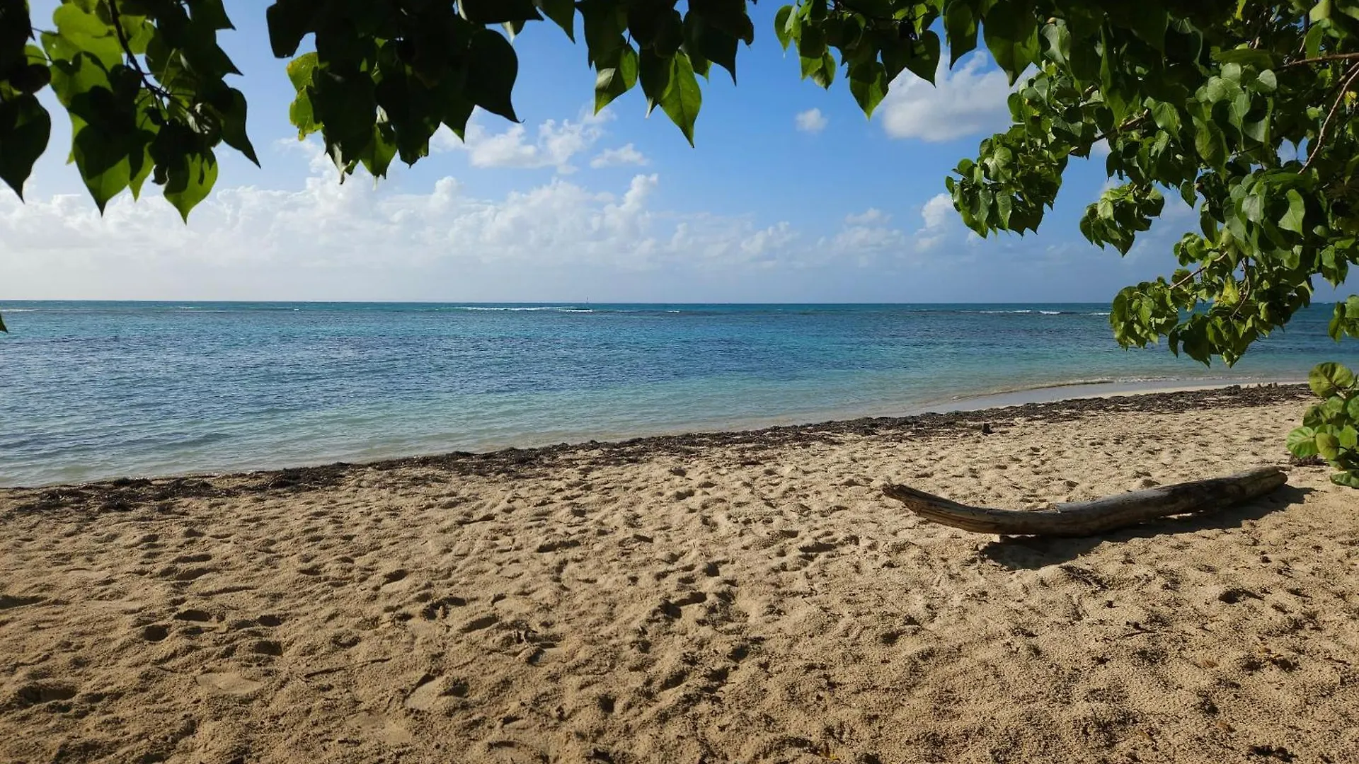Nyaraló Les Jardins De Lakoule - Villa Aloe Vera - 100M Du Lagon Guadeloupe